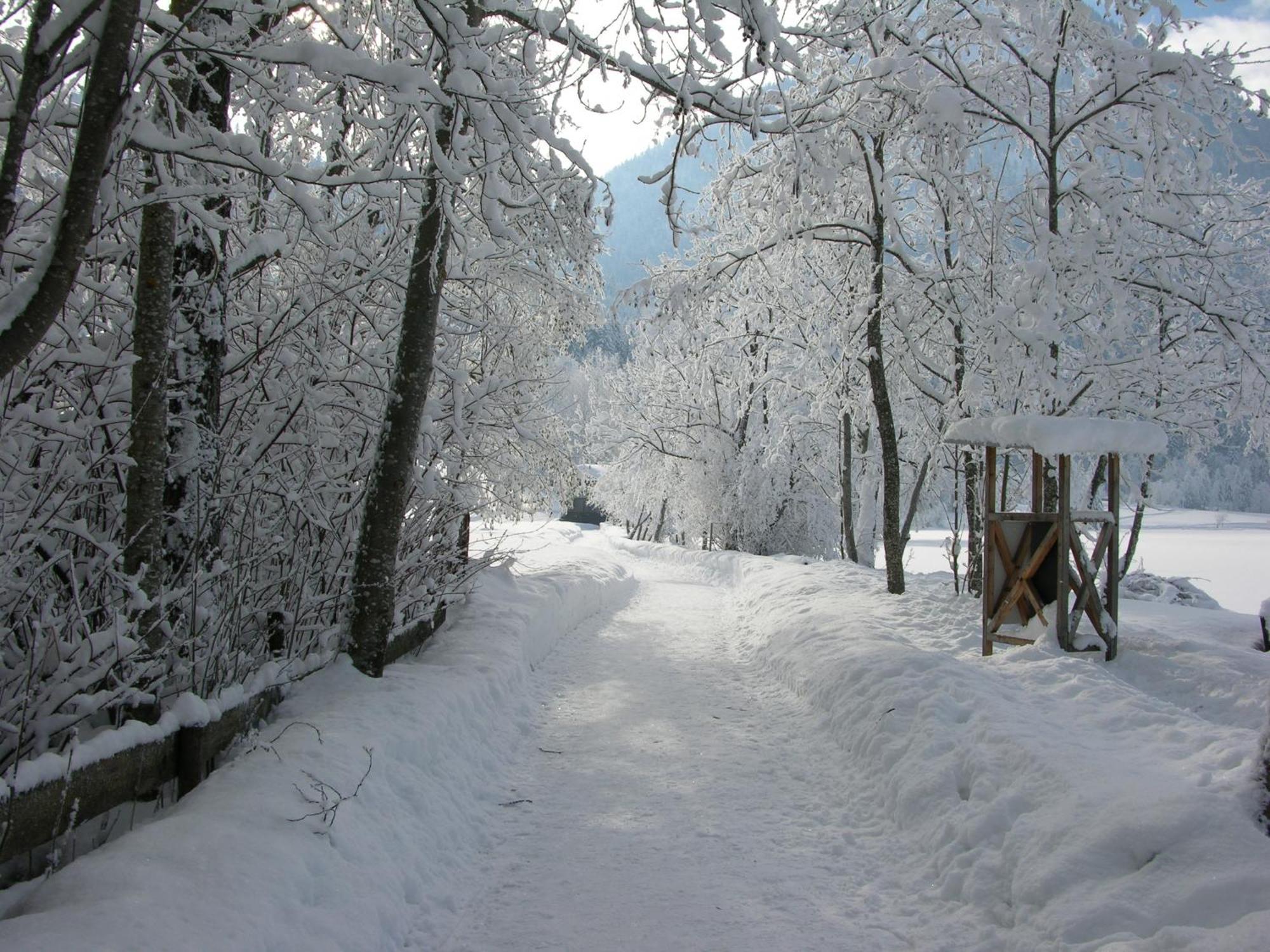 Haus Seeblick Am See Тирзе Экстерьер фото
